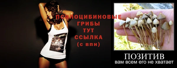 стаф Абдулино