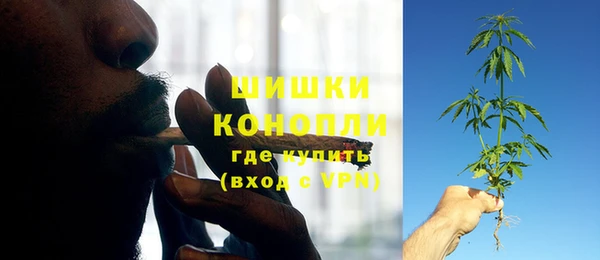 винт Абаза