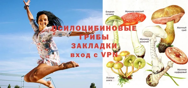 стаф Абдулино