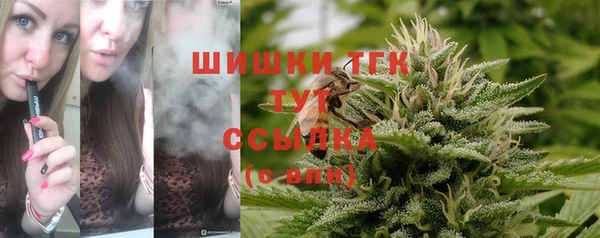 винт Абаза