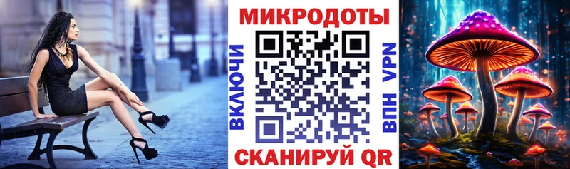 Галлюциногенные грибы ЛСД  darknet как зайти  Щёлково 